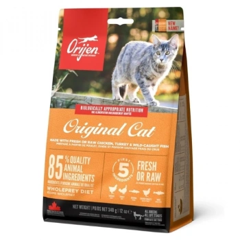 Orijen Kitten Tahılsız Tavuklu Yavru ve Yetişkin Kedi Maması 17 Kg