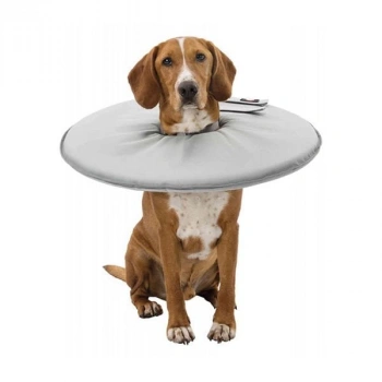 Trixie Köpek ve Kedi Yakalığı Xsmall Gri 23-27x13 Cm