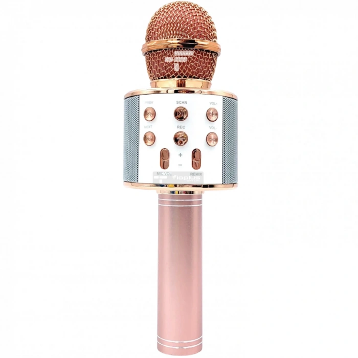 Fioplus FP25 Karaoke Mİkrofon Pembe