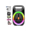 Platoon Pl-4521 Bt Usb Sd Aux 6.5 Inç Mikrofonlu Anfi Yüksek Ses Taşınabilir Rgb Işıklı Hoparlör CS0604