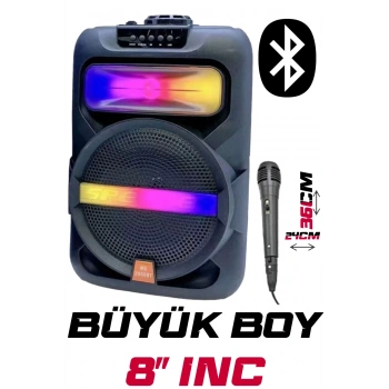 Platoon PL-4361 BT USB SD AUX 8 İNÇ Mikrofonlu Anfi Yüksek SES Taşınabilir RGB