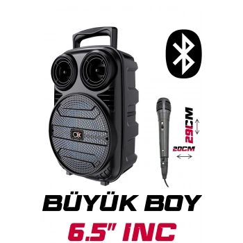 Platoon PL-612 BT USB SD AUX 6.5 İNÇ Mikrofonlu Anfi Yüksek SES Taşınabilir RGB Işıklı Hoparlör