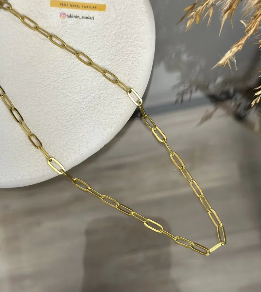 Çelik Ataç Zincir Kolye (40+5 cm)