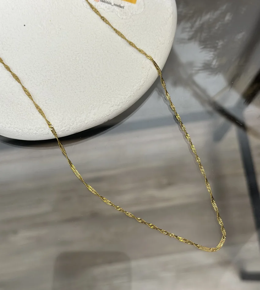 Çelik Zarif Singapur Kolye (60+5 cm)