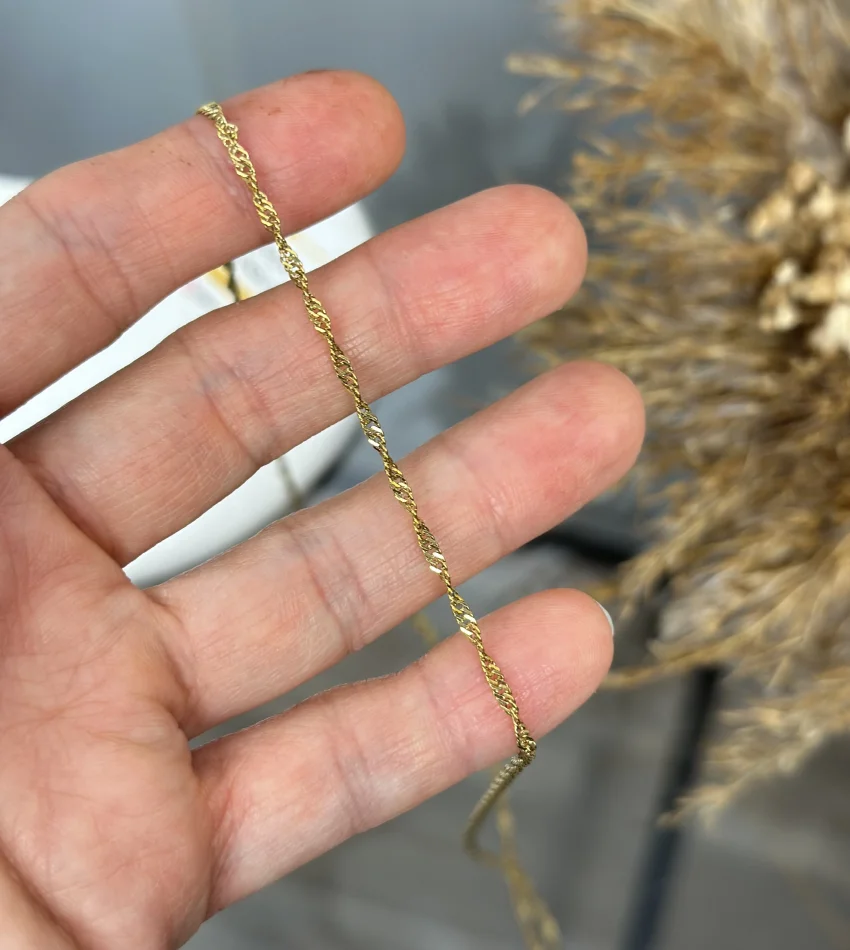 Çelik Zarif Singapur Kolye (60+5 cm)