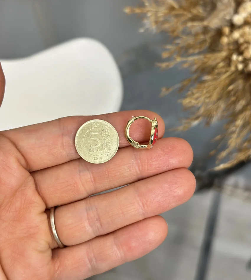 Çelik XP Marka Uğur Böceği Çocuk Halka Küpe