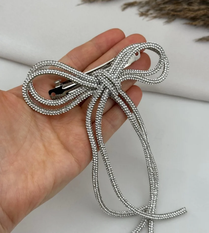 Gümüş Trend Taşlı Fiyonk Toka