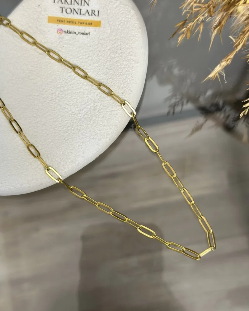 Çelik Ataç Zincir Kolye (40+5 cm)