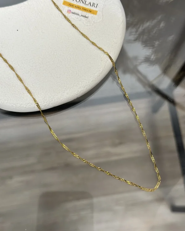 Çelik Zarif Singapur Kolye (60+5 cm)