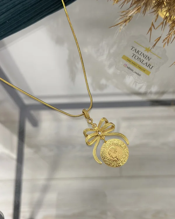 Yarım Altınlı Çelik Zincirli Fiyonk Kolye