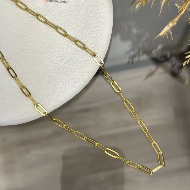 Çelik Ataç Zincir Kolye (40+5 cm)