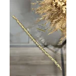 XP Gold Trend Kemik Model Bileklik (17+2 cm)