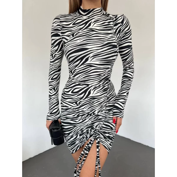 Zebra Desen Elbise