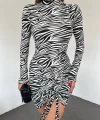 Zebra Desen Elbise