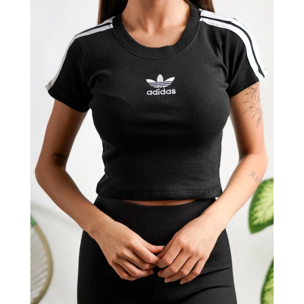 Marka Şeritli Kaşkorse Crop