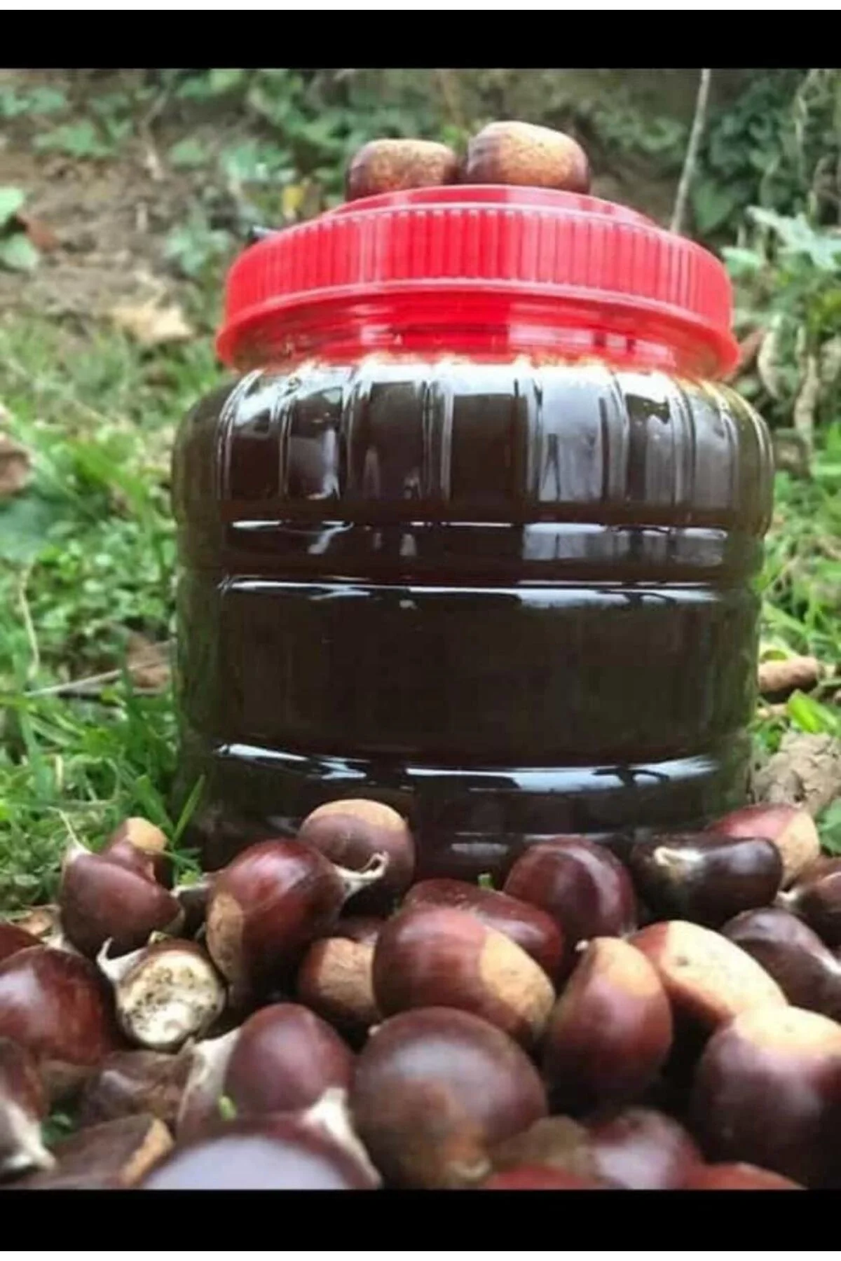 Kestane Balı 1 kg Kastamonu Bölgesi