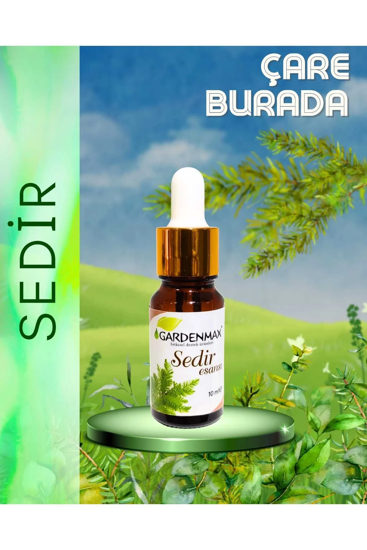 Sedir Kokusu 10 ml