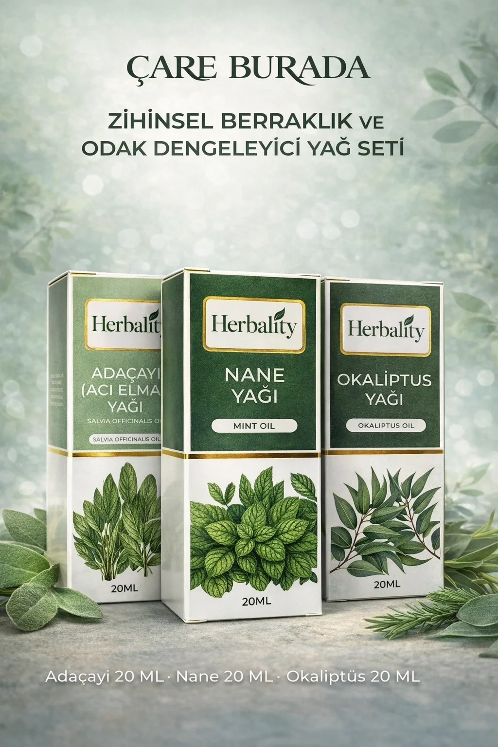 Zihinsel Berraklık Ve Odak Dengeleyici Yağ Seti (Adaçayı Yağı & Nane Yağı & Okaliptüs Yağı)