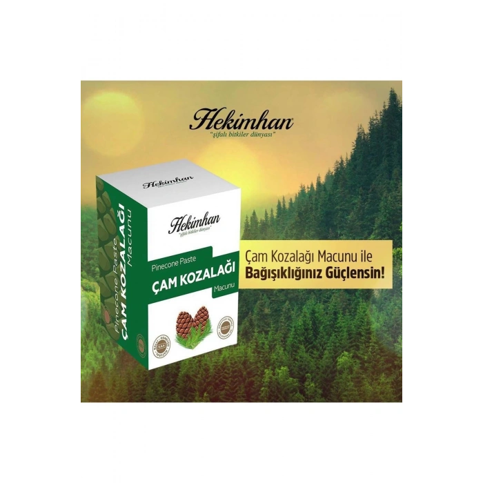 3 Adet Çam Kozalağı Karışımı 240 Gr