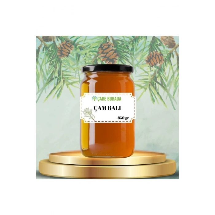 Çam Balı Muğla Bölgesi 850 gr