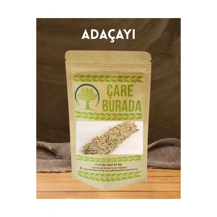 Demet Adaçayı 1 Demet