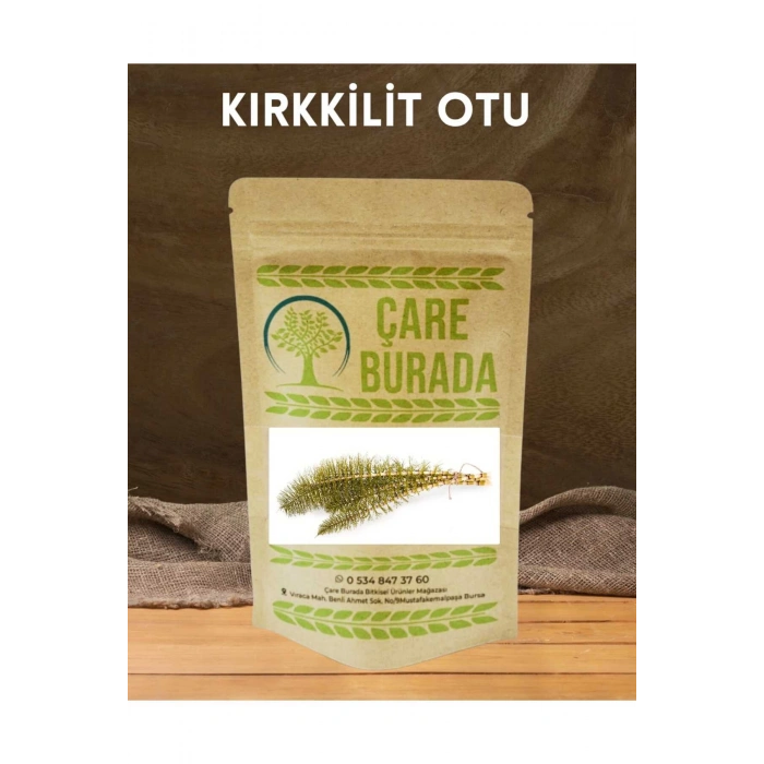 Kırkkilit otu 50 gr