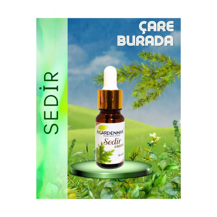 Sedir Kokusu 10 ml