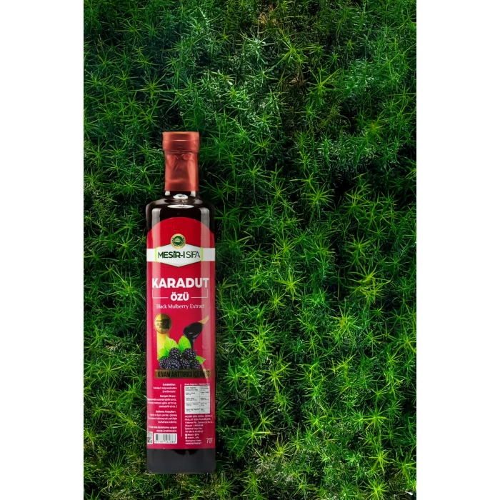 Mesir-i Şifa Karadut Özü 700 gr