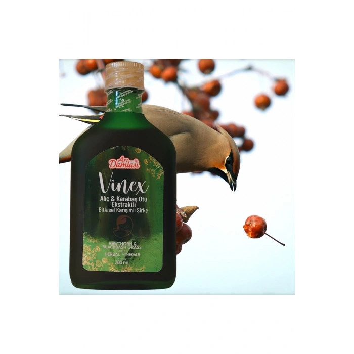 Alıç Karabaş Otu Ekstraktlı Bitkisel Karışımlı Sirke 200 ML