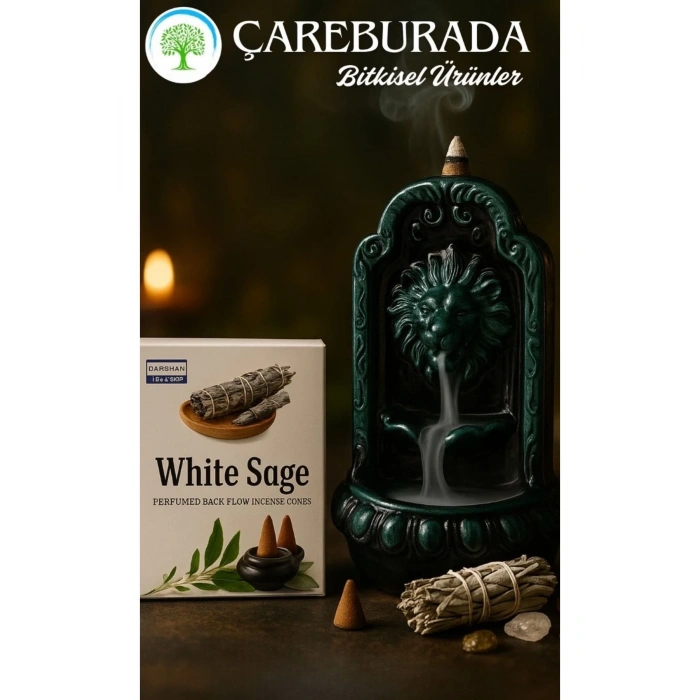 White Sage Geri Akış Tütsüsü + Aslan Ağzı Seramik Şelale Tütsülük