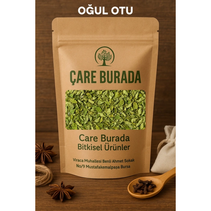 Kuru Oğul Otu 100 Gr