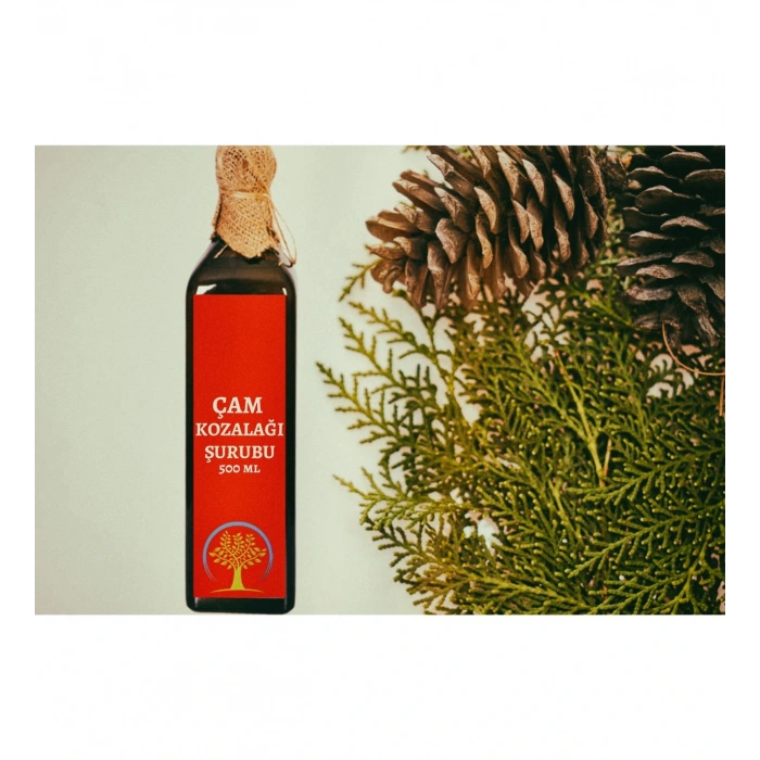 Çare Burada Çam Kozalağı Şurubu 500 ML