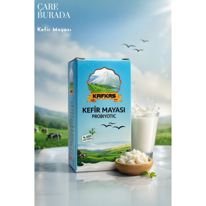 Kafkas - Kefir Mayası Probiyotik