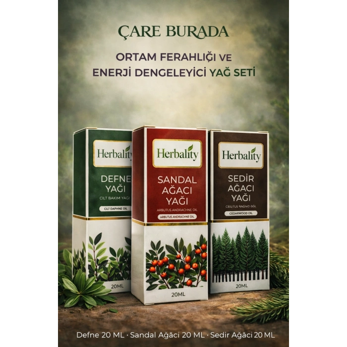 Ortam Ferahlığı ve Enerji Dengeleyici Yağ Seti (Defne Yağı & Sedir Ağacı Yağı & Sandal Ağacı Yağı)