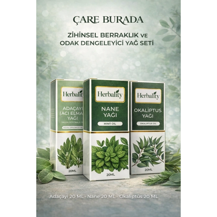 Zihinsel Berraklık Ve Odak Dengeleyici Yağ Seti (Adaçayı Yağı & Nane Yağı & Okaliptüs Yağı)
