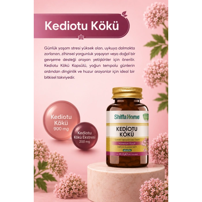 Kediotu Kökü Kapsülü (60 Kapsül)