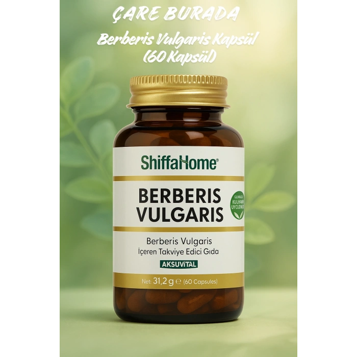 Berberis Vulgaris Kapsül (60 Kapsül)
