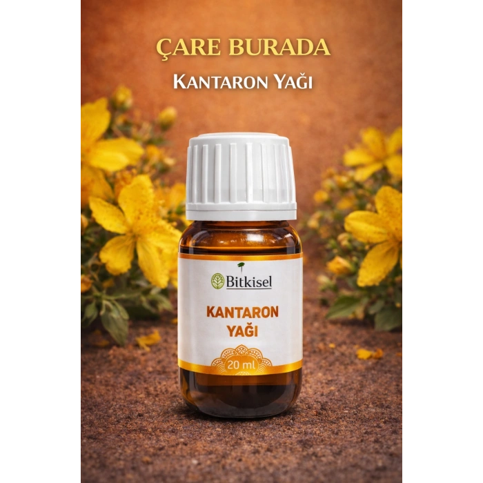 Bitkisel Kantaron Yağı 20 Ml