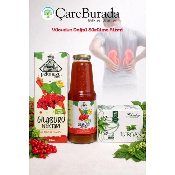 ÇareBurada Doğal Arınma & Günlük Destek Seti - Gilaburu Nektarı & Isırgan Çayı