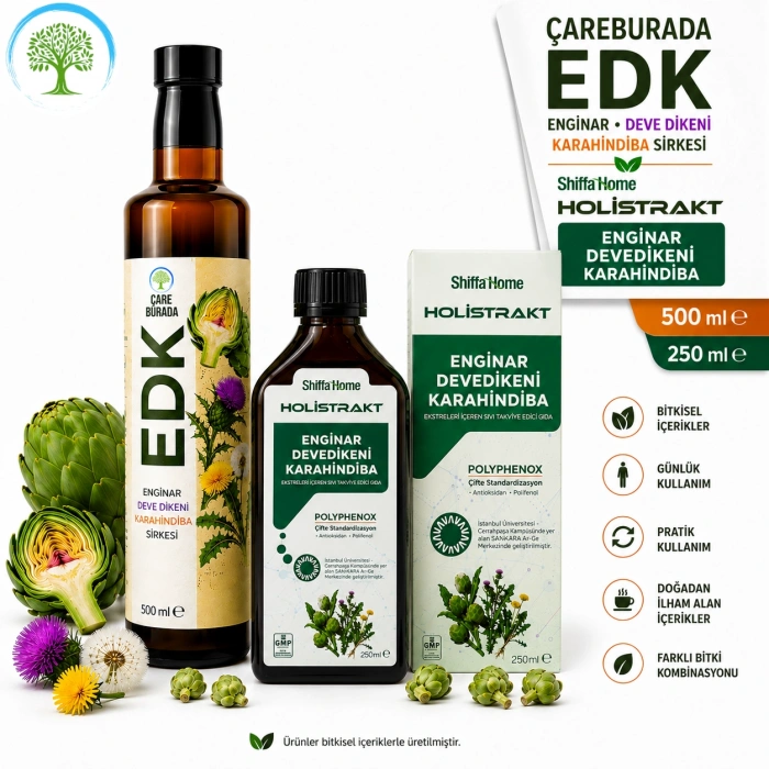 ÇareBurada EDK Sirke 500 ml & Holistrakt Enginar, Deve Dikeni, Karahindiba 250 ml Ekstrakt | Enginar, Devedikeni, Karahindiba