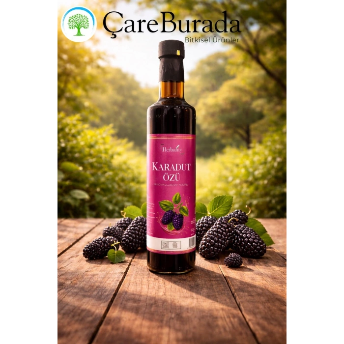 ÇareBurada Karadut Özü 500 Ml.