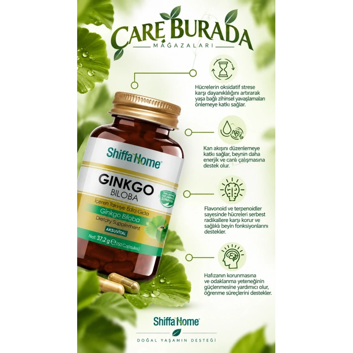 Ginkgo Biloba Kapsül 1000 Mg (60 Kapsül)