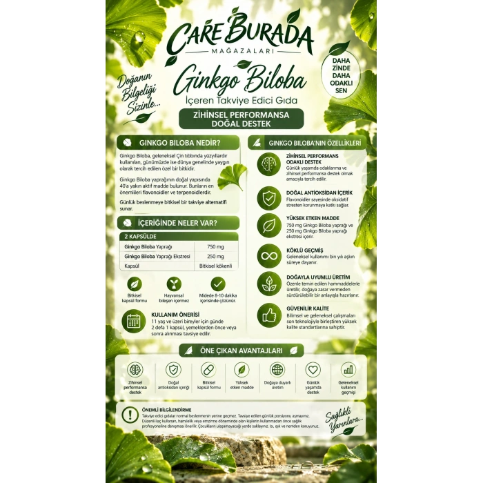 Ginkgo Biloba Kapsül 1000 Mg (60 Kapsül)