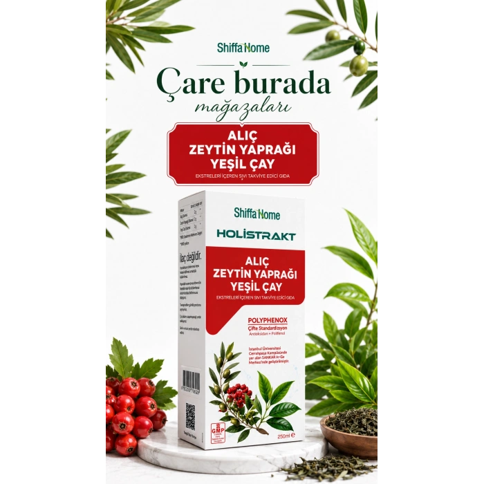 HOLİSTRAKT - Alıç & Zeytin Yaprağı & Yeşilçay İçeren Sıvı Ekstrakt 250 Ml
