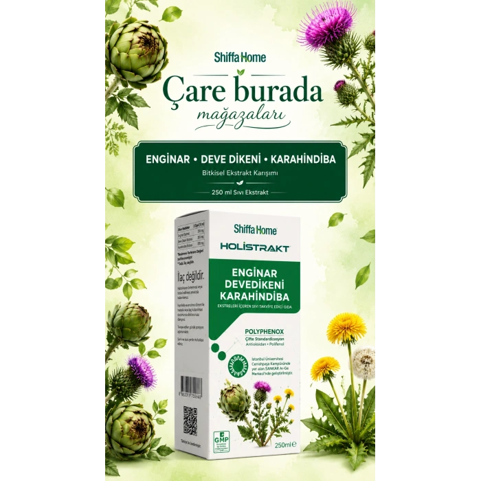 HOLİSTRAKT - Enginar & Devedikeni & Karahindiba İçeren Sıvı Ekstrat 250 Ml (Kolin)
