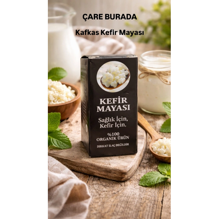 Kafkas Kefir Mayası