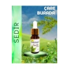 Sedir Kokusu 10 ml