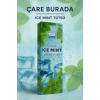 Darshan Incense - Ice Mint Çubuk Tütsü (20li)