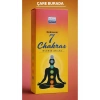 Darshan Incense - 7 Çakra 20li Çubuk Tütsü