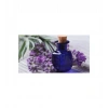 Menekşe Yağı 20 Ml Violet Oil